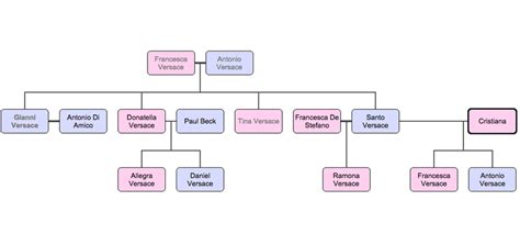 daniel versace tina versace|versace family tree.